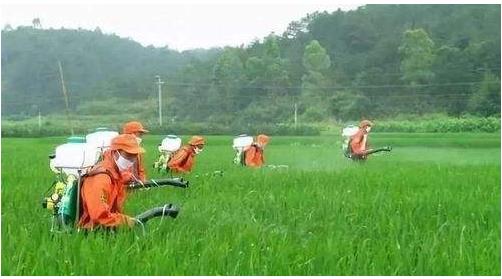 農(nóng)藥行業(yè)仍然具有較大的發(fā)展空間，高效、低毒、低殘留將是其發(fā)展方向