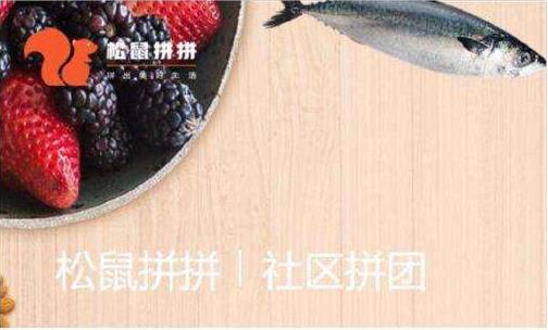 社區(qū)團(tuán)購平臺“松鼠拼拼”完成3100萬美元B1輪融資，融資將用于供應(yīng)鏈完善等?