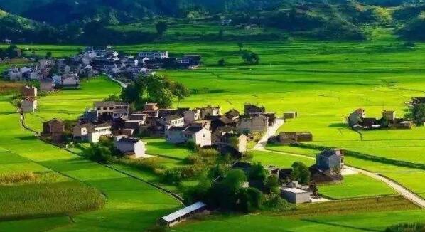 去年全國(guó)鄉(xiāng)村旅游總?cè)舜螢?0.9億人次，同比增加9.7%