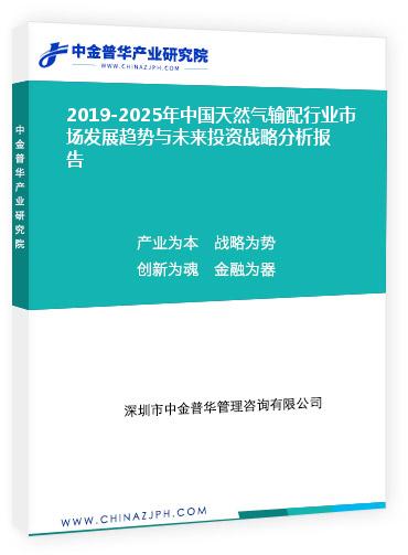 2019-2025年中國(guó)天然氣輸配行業(yè)市場(chǎng)發(fā)展趨勢(shì)與未來(lái)投資戰(zhàn)略分析報(bào)告