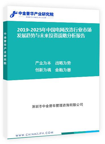 2019-2025年中國(guó)電網(wǎng)改造行業(yè)市場(chǎng)發(fā)展趨勢(shì)與未來(lái)投資戰(zhàn)略分析報(bào)告